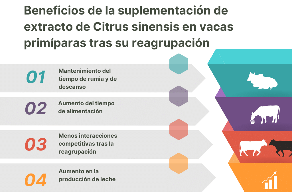 Suplementació d´extracte de cítrics (EC) en vaques de llet