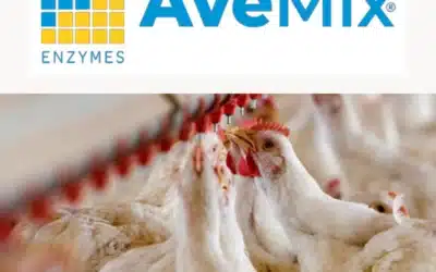 AveMix® XG 10 – superando los problemas asociados a los PNA