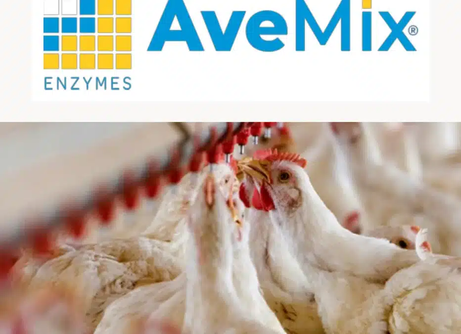AveMix® XG 10 – superant els problemes associats als PNA