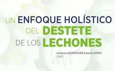 Un enfoque holístico del destete de los lechones
