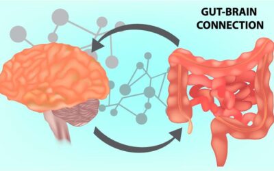 MICROBIOTA Y CEREBRO: CÓMO SU DIÁLOGO AFECTA A LOS ANIMALES DE PRODUCCIÓN