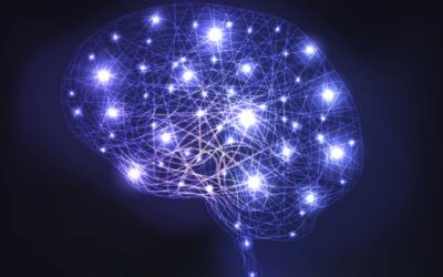Activar el cerebro para gestionar el estrés térmico