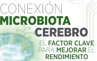 Connexió microbiota-cervell, millorant el rendiment.