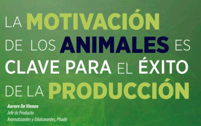 Motivació del consum