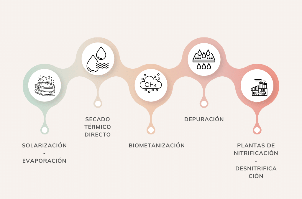 VALORITZACIÓ DEL PURÍ