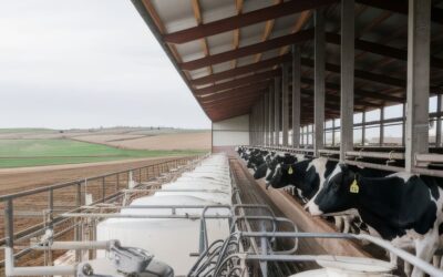 Planta de Tratamiento de Purines: La Solución para una Ganadería Sostenible