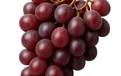 Extractos naturales de uva: polifenoles y oligoprocianidinas en nutrición animal