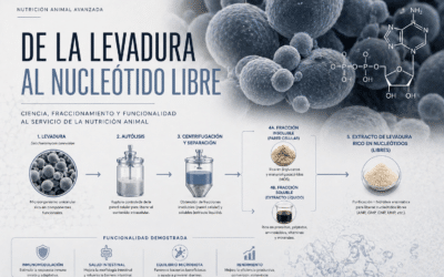 Nucleótidos en alimentación animal