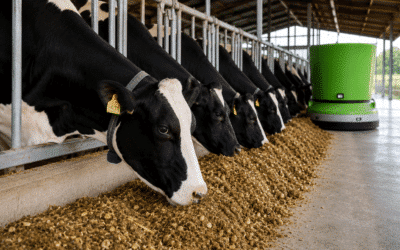 Aceites esenciales y eficiencia proteica en vaca de leche: más allá de aumentar la proteína de la dieta
