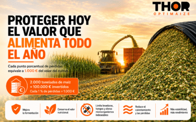 Inoculantes para ensilado de maíz: ¿gasto o inversión?