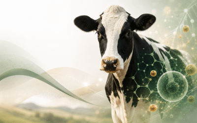 ¿Qué es el estrés oxidativo y cómo afecta a los animales de producción?