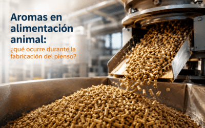 Aromes en alimentació animal: què passa durant la fabricació del pinso?